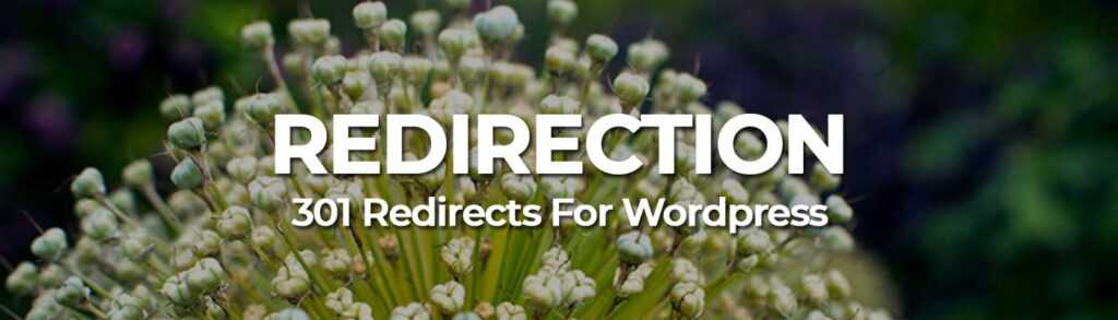 Redirection - WordPress SEO Plugin