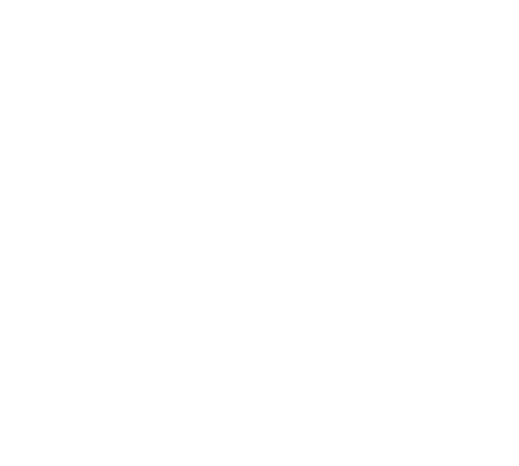 Ecommerce SEO Icon