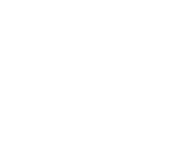 Local SEO Icon