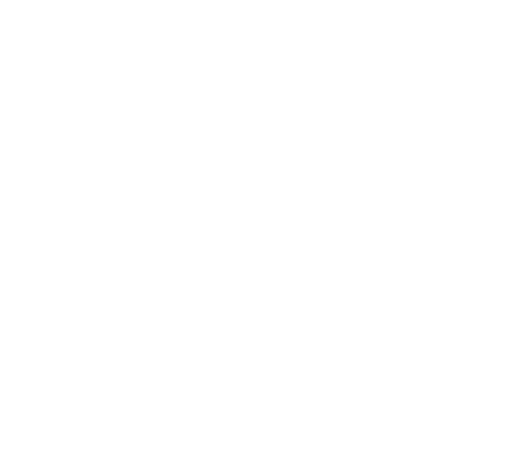 NAtional SEO Icon